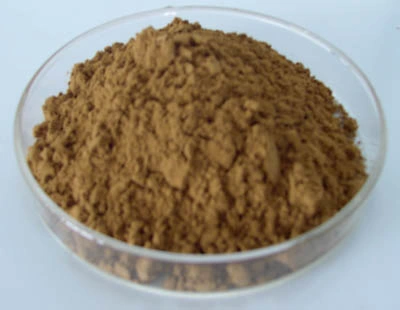 Maiitake Mushroom Extract 20% Polysaccharides for Functional Food