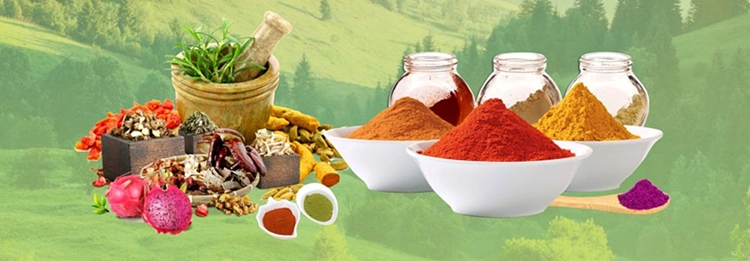 Manufacturer Supply Pepper Extract 99% for Health Care