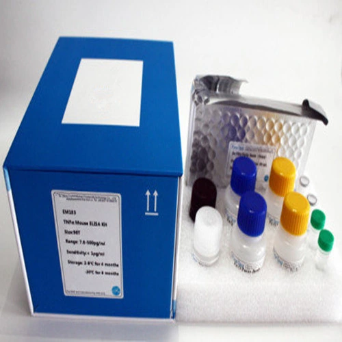 Anti Proteolipid Protein 1 Elisa Kits