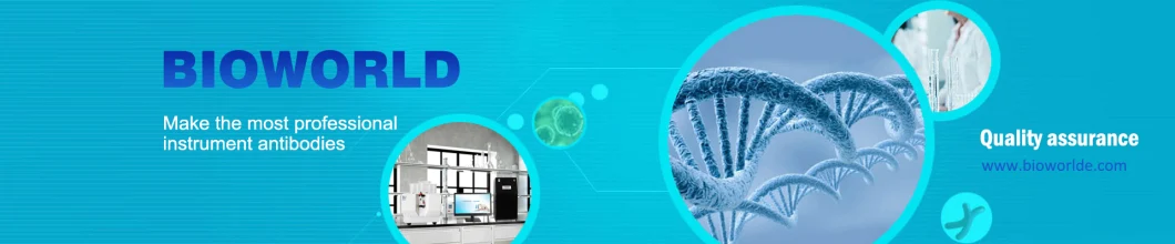 Recombinant Human Tissue Plasminogen Activator Protein