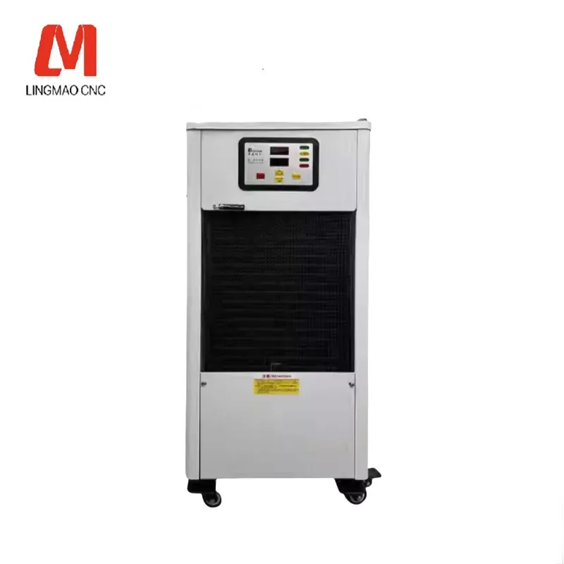 Originale Giappone Jpla Placenta Prezzo Jpla Curacen Placenta Pillola Estratto di cellule staminali uterine Mantenimento Climaterio ovarico Laennec Melsmon Placenta umana