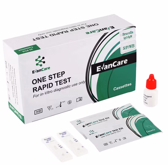 Anticorpi secondari anti-coniglio di capra 100UL