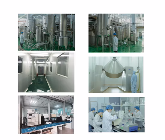 Fornire estratto di calotta cranica Baikal, polvere di Baicalin